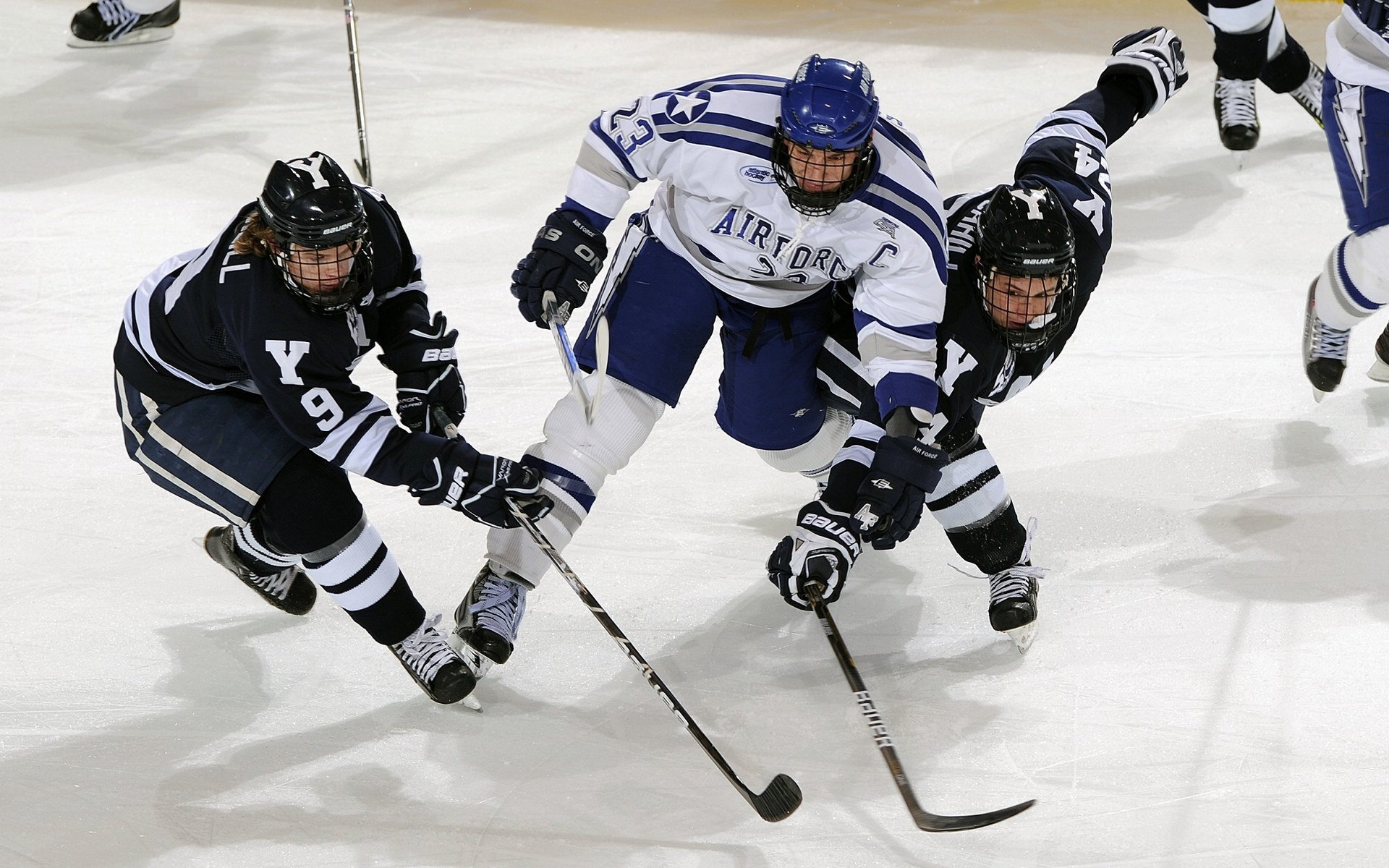 冬季项目后备人才储备机制研究，冬季项目后备人才培养中长期发展规划