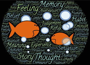 星空体育综合-NBA球员情绪控制能力与技术犯规关系分析，nba2k情绪属性有什么用